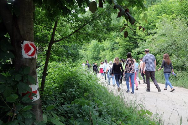 Szívbetegek rehabilitációját is segítő tanösvényt avattak Miskolcon