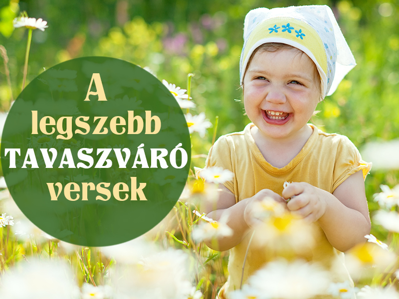 alt szöveg