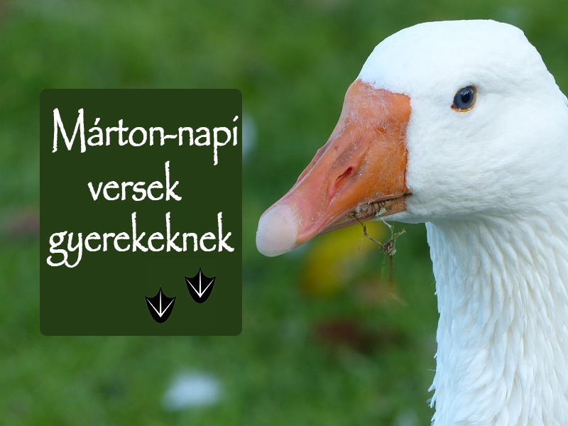 alt szöveg