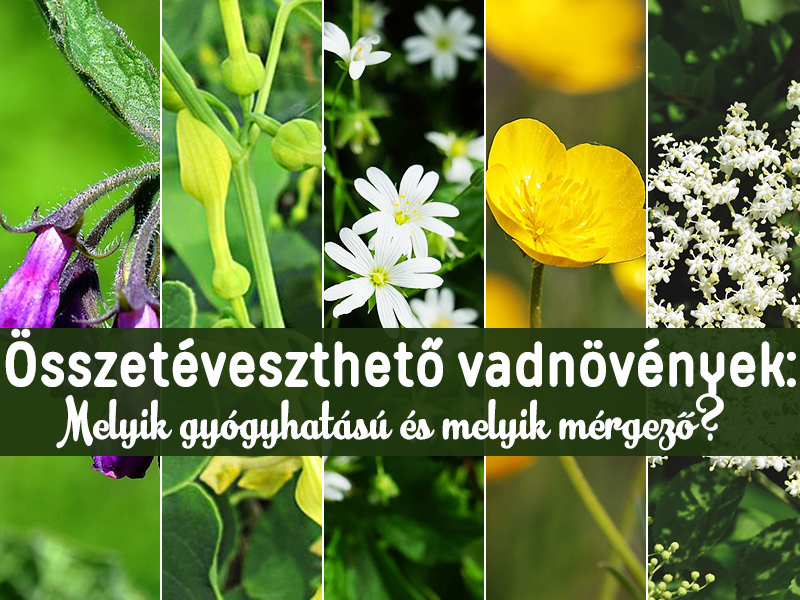 alt szöveg