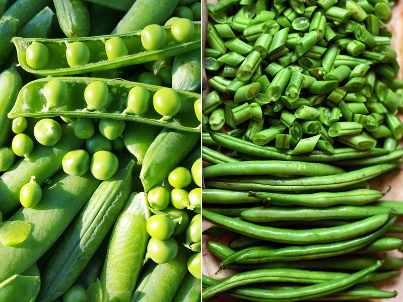 Zöldborsó és zöldbab: Segítik az emésztést, erősítik az immunrendszert és tele vannak vitaminnal  - Receptötlettel