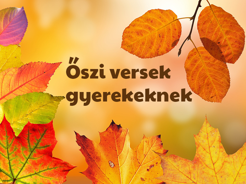 alt szöveg