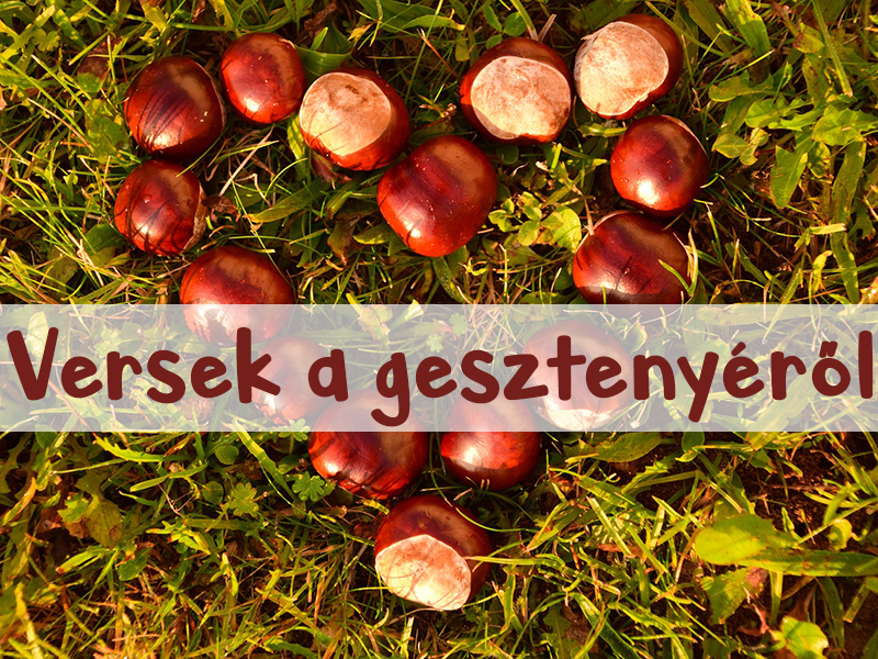 alt szöveg