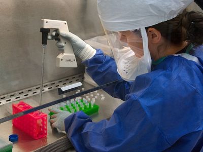 Magyar siker a rákkutatásban: így tudták elérni, hogy elpusztuljanak a rákos sejtek