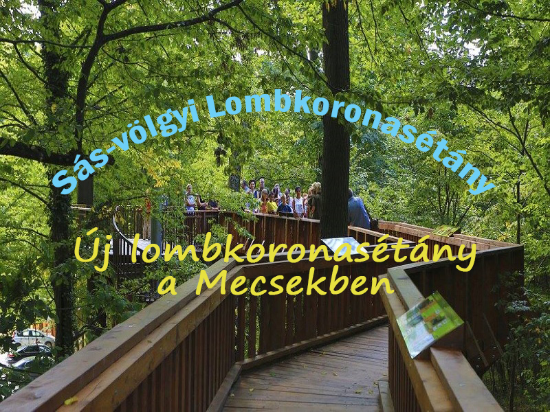 Egy hely, ahol sétálhatsz a lombok között! A Mecsekben adták át az ország legújabb lombkoronasétányát - Ide vidd el a gyereket, ha szép az idő!