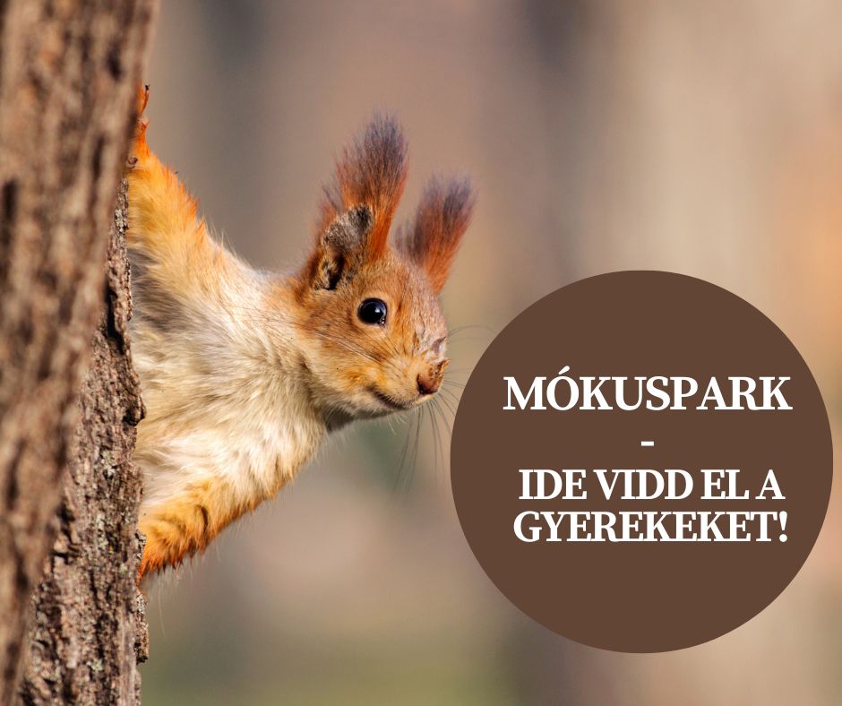 Ide vidd el a gyerekeket! Mókuspark, ahol etethetitek is az állatokat!